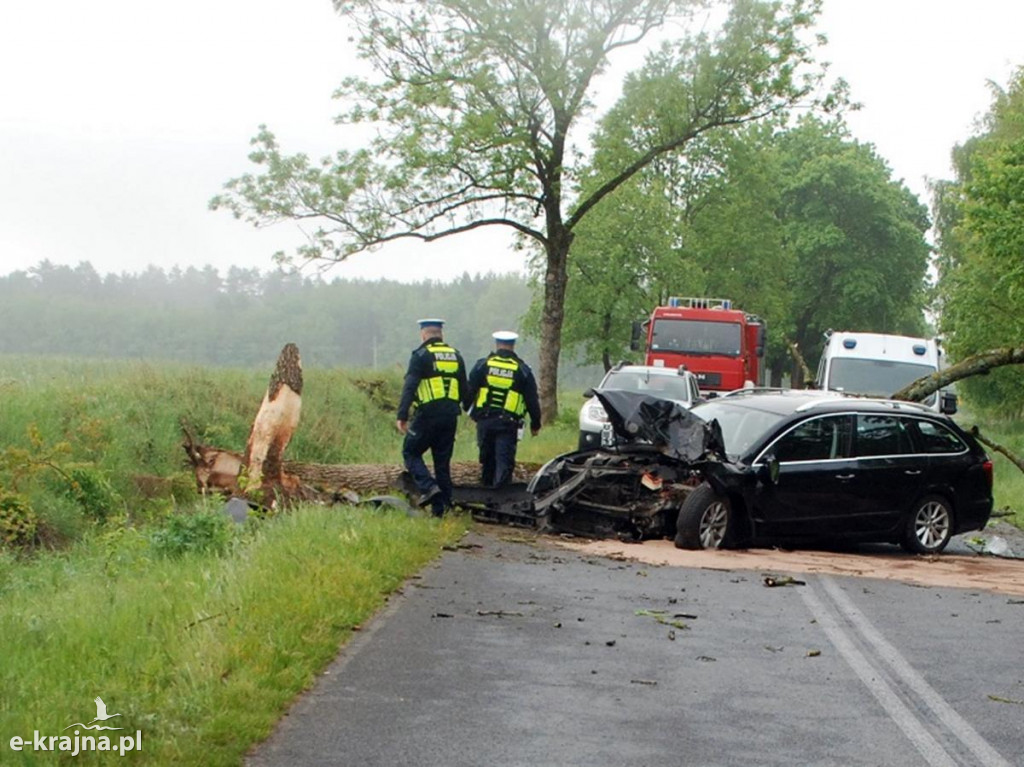 Osobowa skoda uderzyła w drzewo