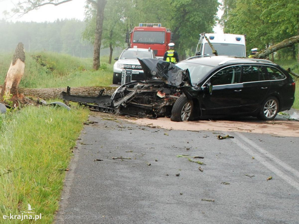 Osobowa skoda uderzyła w drzewo
