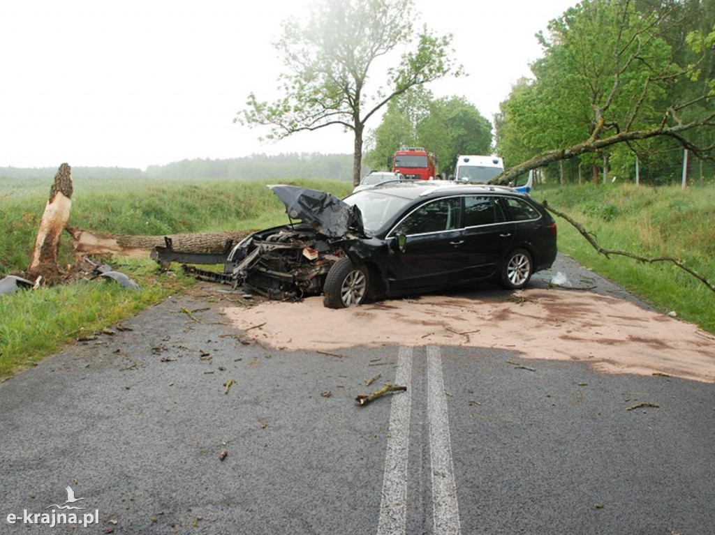 Osobowa skoda uderzyła w drzewo