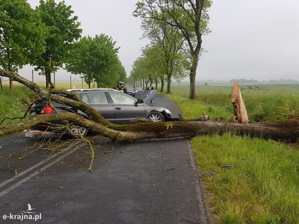 Osobowa skoda uderzyła w drzewo