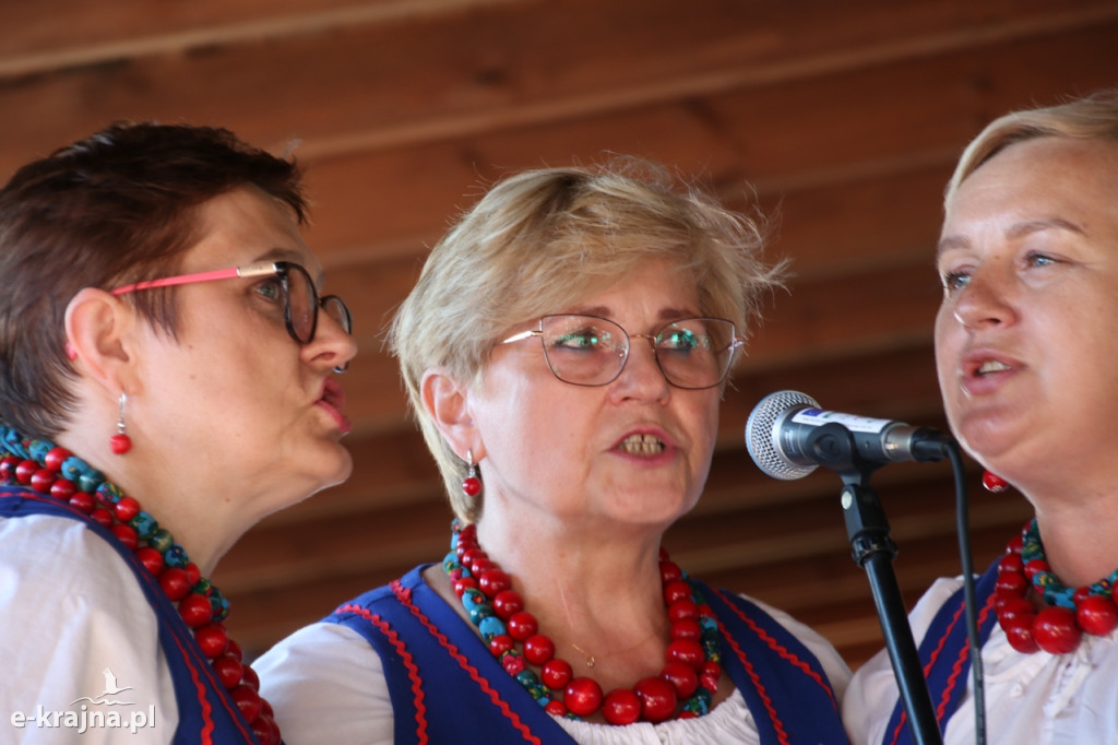 Jarmark Krajeński pierwszym akordem Dni Więcborka 2022 [ZDJĘCIA]