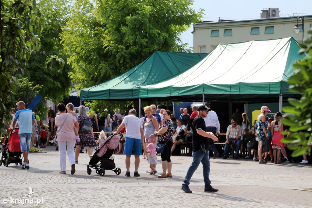 Piknik z okazji Święta Wojska Polskiego w Więcborku
