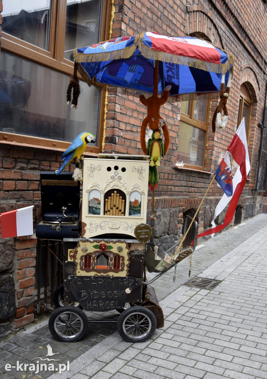 Obchody 104 rocznicy odzyskania niepodległości w Sępólnie Krajeńskim