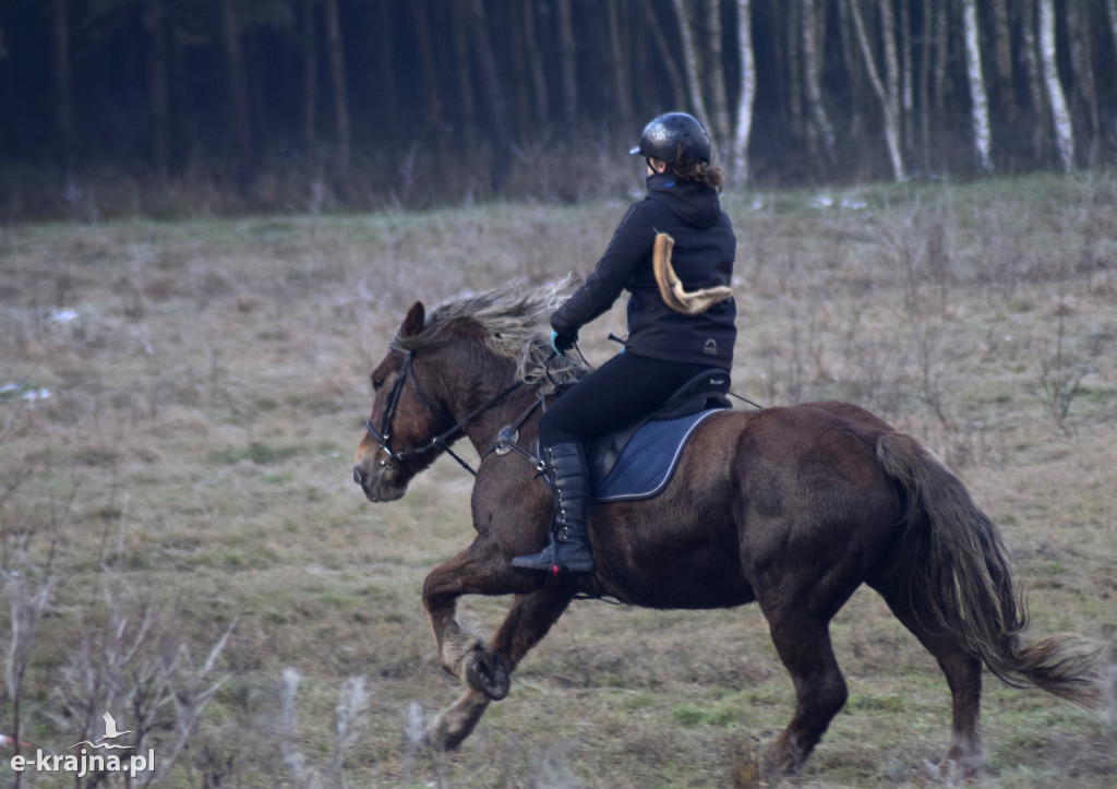 Hubertus w Stajni Witunia