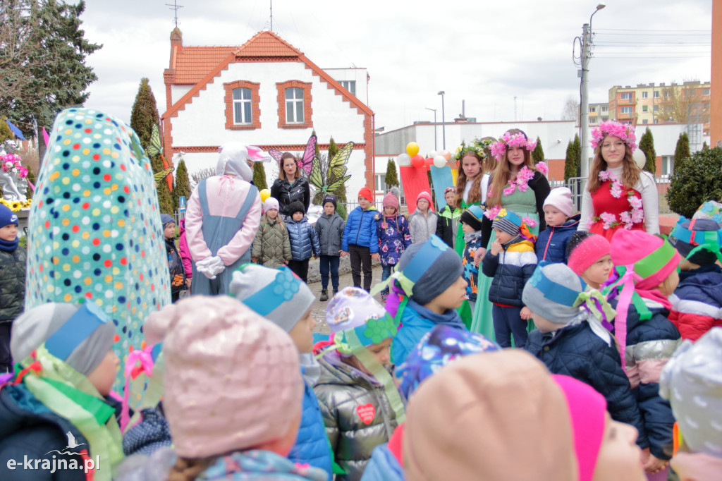 Już jest! Wiosna zawitała do Sępólna!