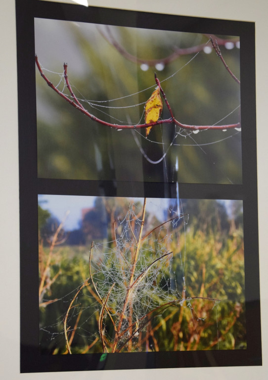 Wernisaż fotografii Henryka Tadeusza Bachusza