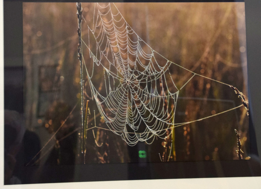 Wernisaż fotografii Henryka Tadeusza Bachusza
