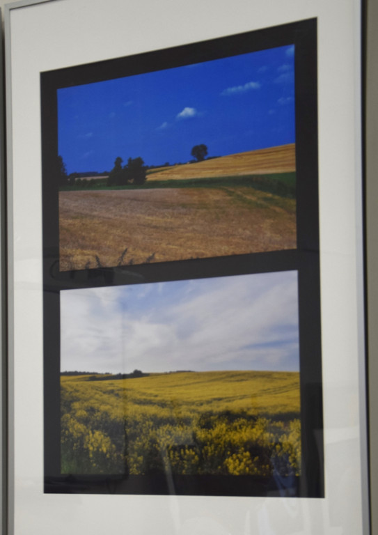 Wernisaż fotografii Henryka Tadeusza Bachusza