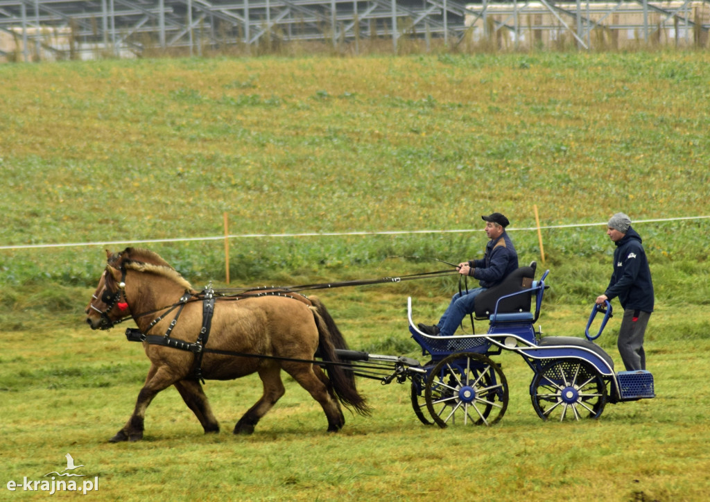 Hubertus po wielu latach ponownie w Sępólnie Krajeńskim