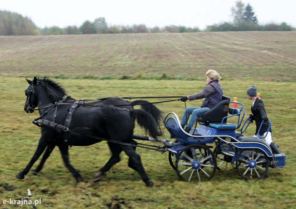 Hubertus po wielu latach ponownie w Sępólnie Krajeńskim