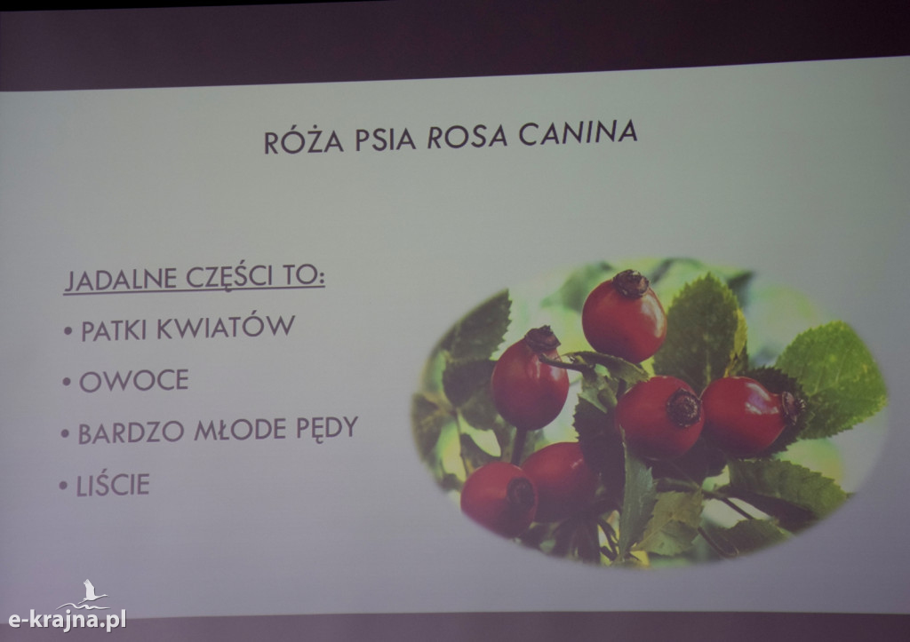 Spotkanie i wykład na Uniwersytecie Trzeciego Wieku w Sępólnie