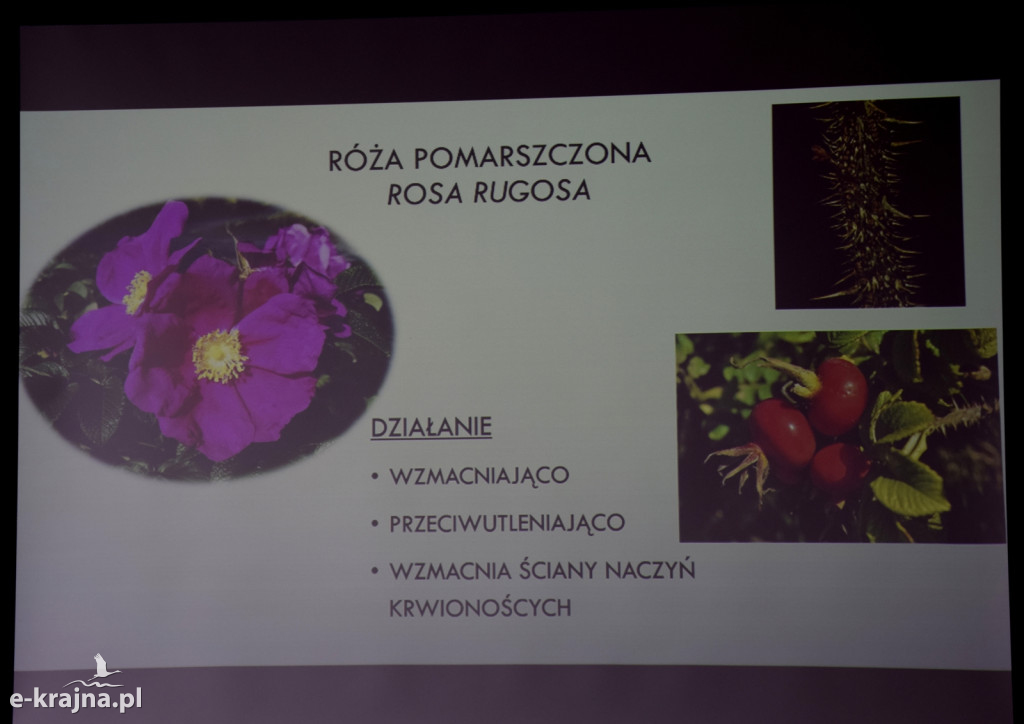 Spotkanie i wykład na Uniwersytecie Trzeciego Wieku w Sępólnie