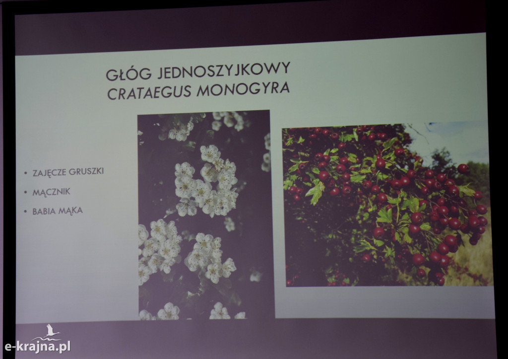 Spotkanie i wykład na Uniwersytecie Trzeciego Wieku w Sępólnie