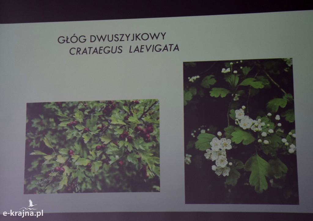Spotkanie i wykład na Uniwersytecie Trzeciego Wieku w Sępólnie