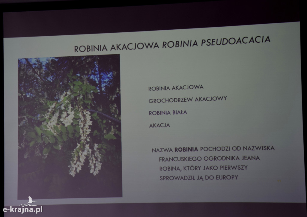 Spotkanie i wykład na Uniwersytecie Trzeciego Wieku w Sępólnie