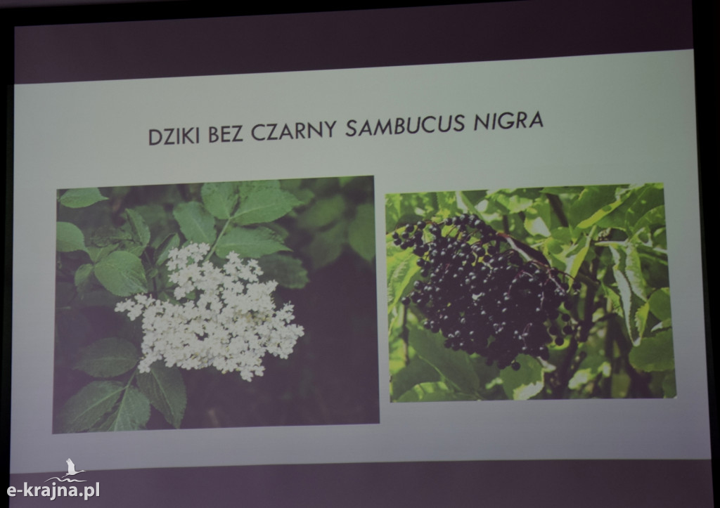 Spotkanie i wykład na Uniwersytecie Trzeciego Wieku w Sępólnie