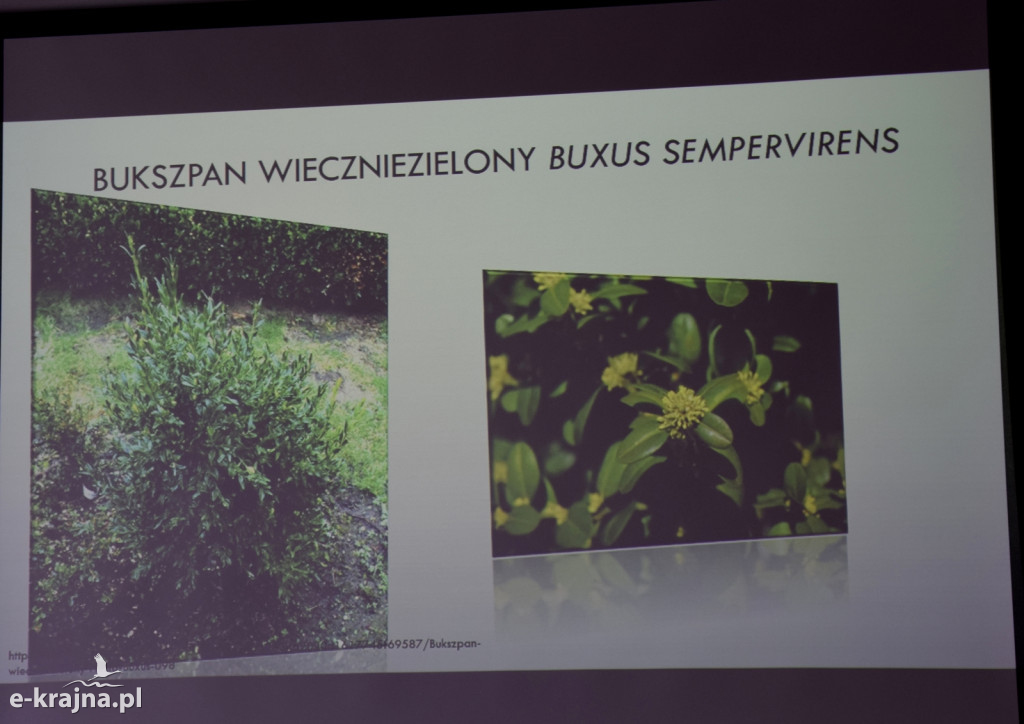 Spotkanie i wykład na Uniwersytecie Trzeciego Wieku w Sępólnie