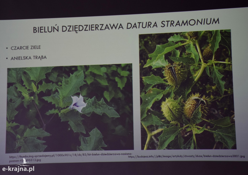 Spotkanie i wykład na Uniwersytecie Trzeciego Wieku w Sępólnie