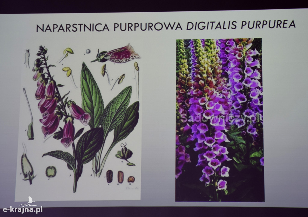 Spotkanie i wykład na Uniwersytecie Trzeciego Wieku w Sępólnie