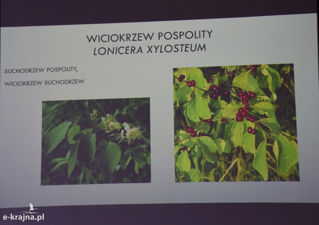 Spotkanie i wykład na Uniwersytecie Trzeciego Wieku w Sępólnie