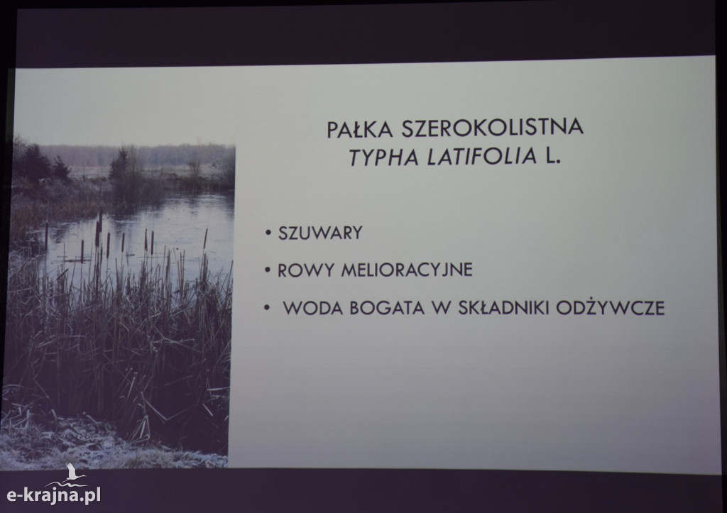 Spotkanie i wykład na Uniwersytecie Trzeciego Wieku w Sępólnie