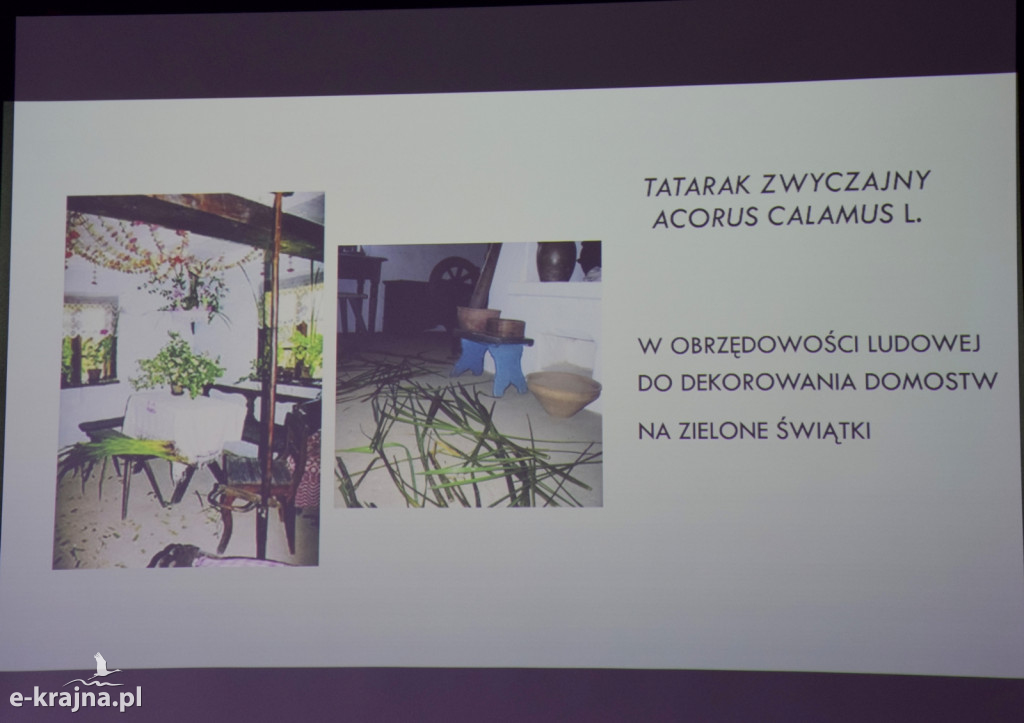 Spotkanie i wykład na Uniwersytecie Trzeciego Wieku w Sępólnie