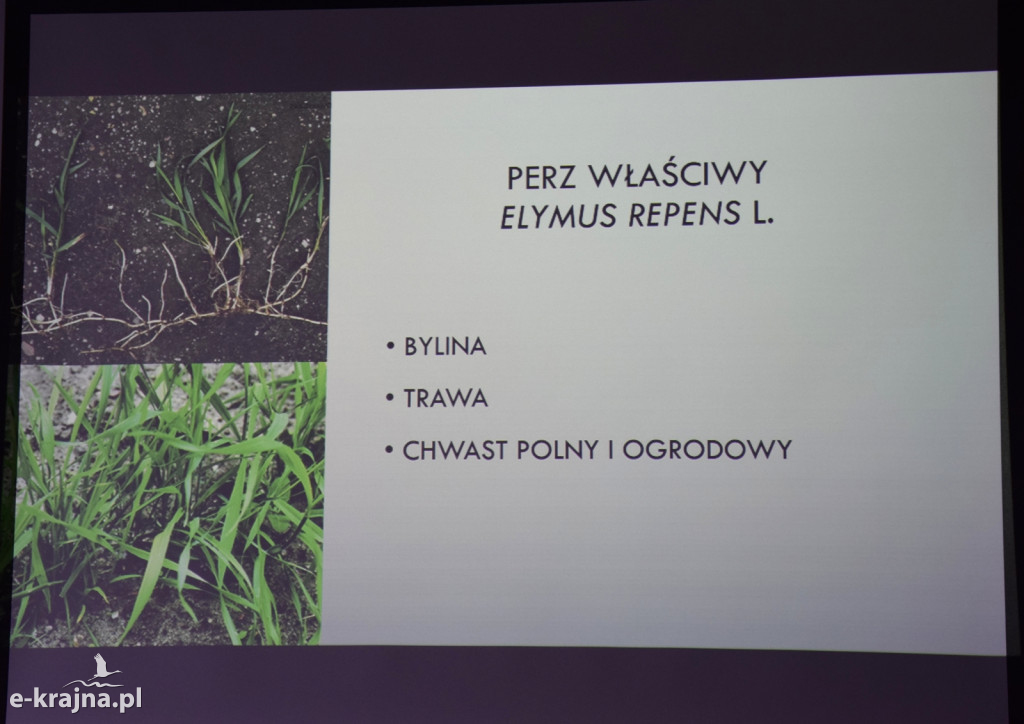 Spotkanie i wykład na Uniwersytecie Trzeciego Wieku w Sępólnie