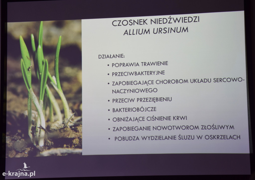 Spotkanie i wykład na Uniwersytecie Trzeciego Wieku w Sępólnie