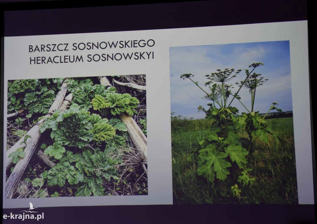 Spotkanie i wykład na Uniwersytecie Trzeciego Wieku w Sępólnie
