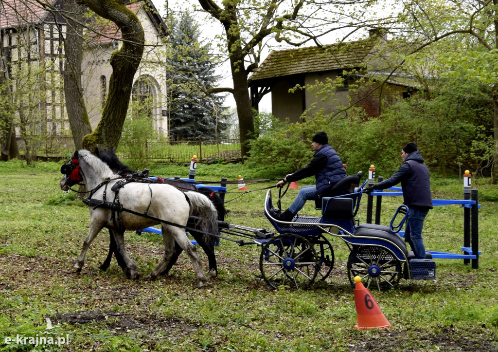 VIII Powiatowe Targi Rolniczo-Ogrodnicze Sypniewo 2024 - cz. 1