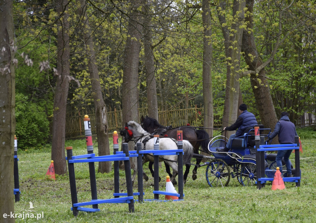 VIII Powiatowe Targi Rolniczo-Ogrodnicze Sypniewo 2024 - cz. 1