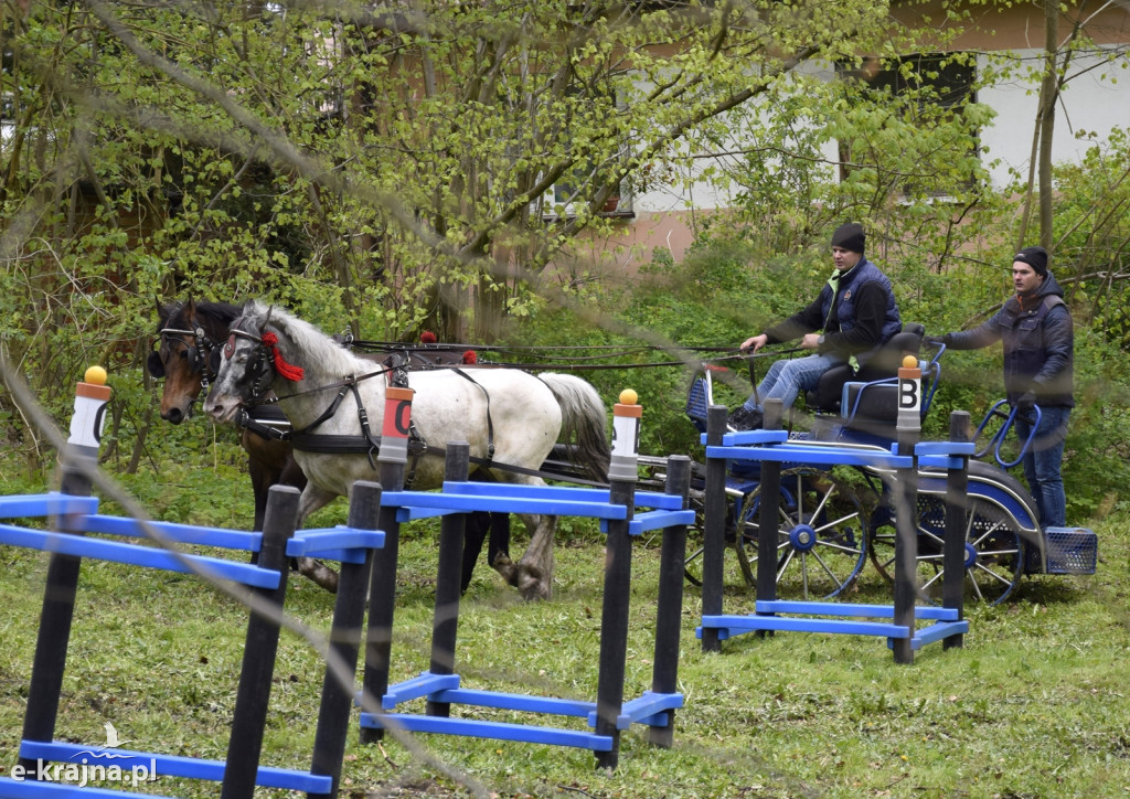 VIII Powiatowe Targi Rolniczo-Ogrodnicze Sypniewo 2024 - cz. 1