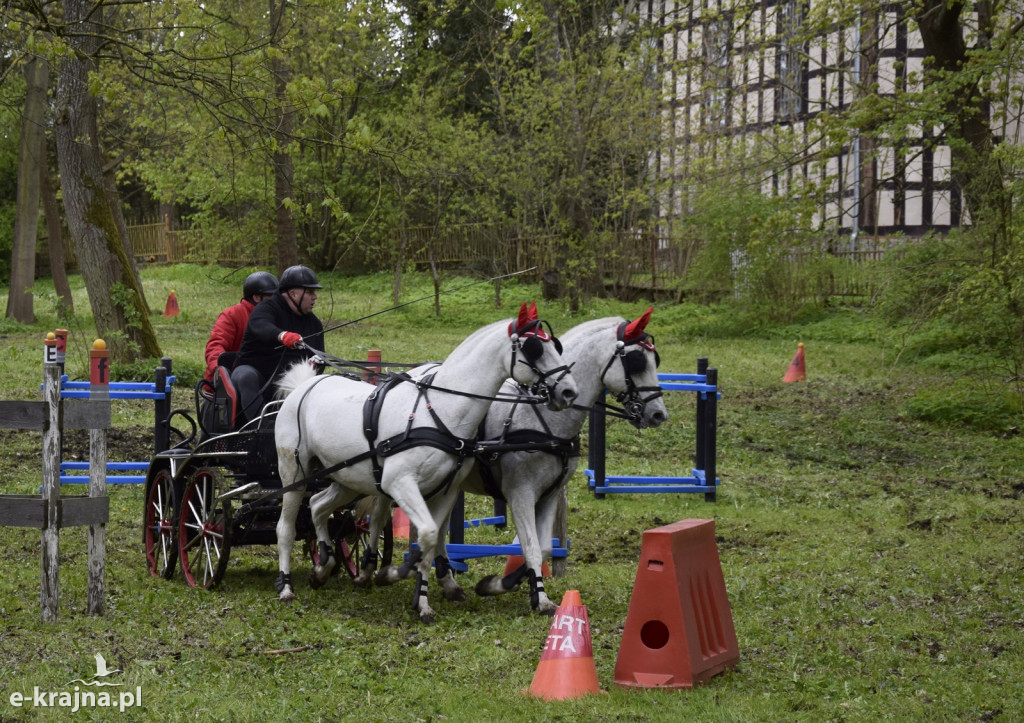 VIII Powiatowe Targi Rolniczo-Ogrodnicze Sypniewo 2024 - cz. 1