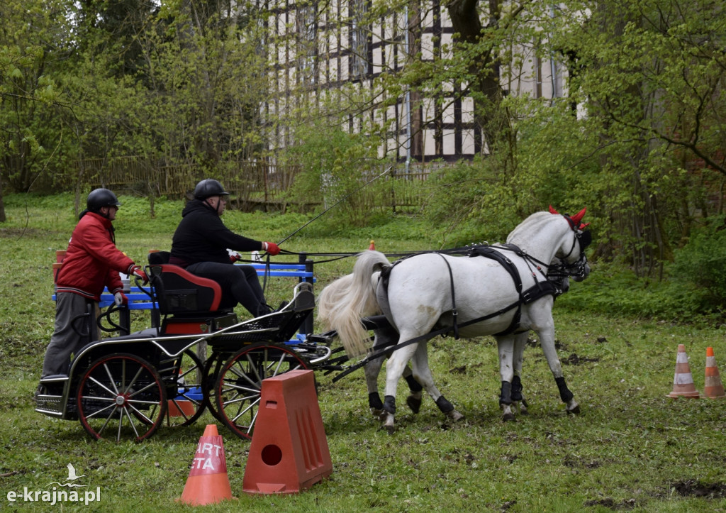 VIII Powiatowe Targi Rolniczo-Ogrodnicze Sypniewo 2024 - cz. 1