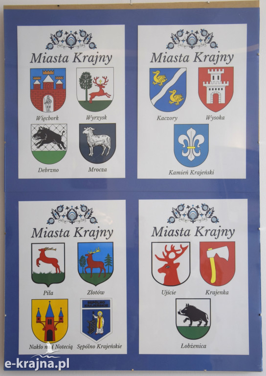 Wielka majówka w Sępólnie