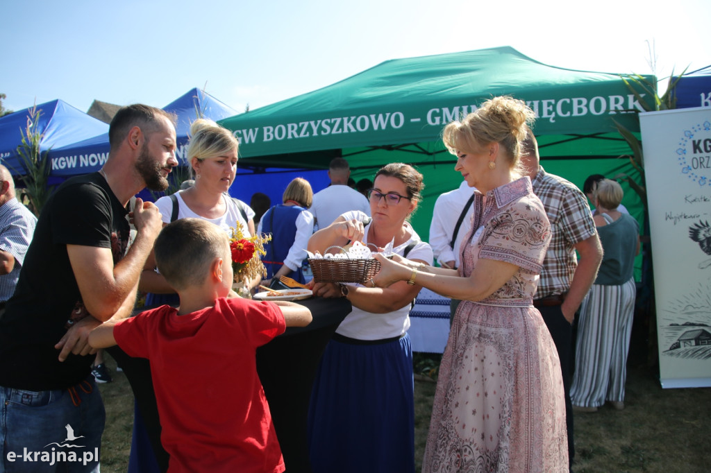 Dożynki Gminno-Powiatowe w Jastrzębcu - część oficjalna [FOTO]