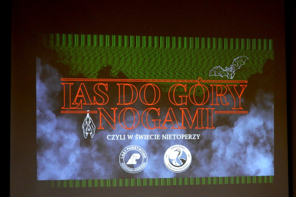 Las do góry nogami