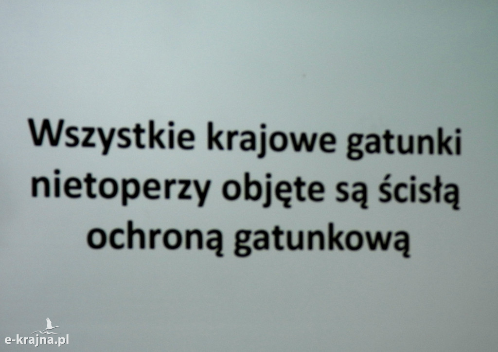 Las do góry nogami