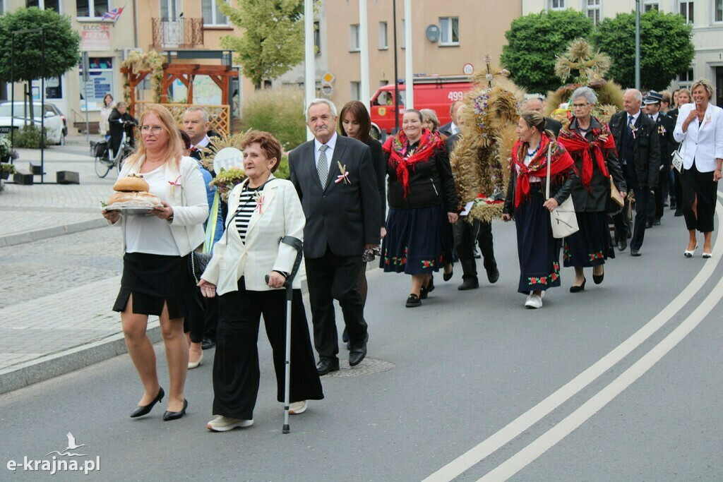 Dożynki Powiatowo-Gminno-Parafialne w Mroczy