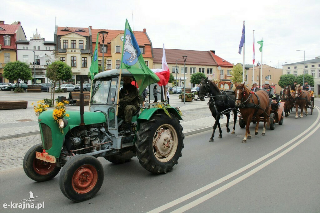 Dożynki Powiatowo-Gminno-Parafialne w Mroczy