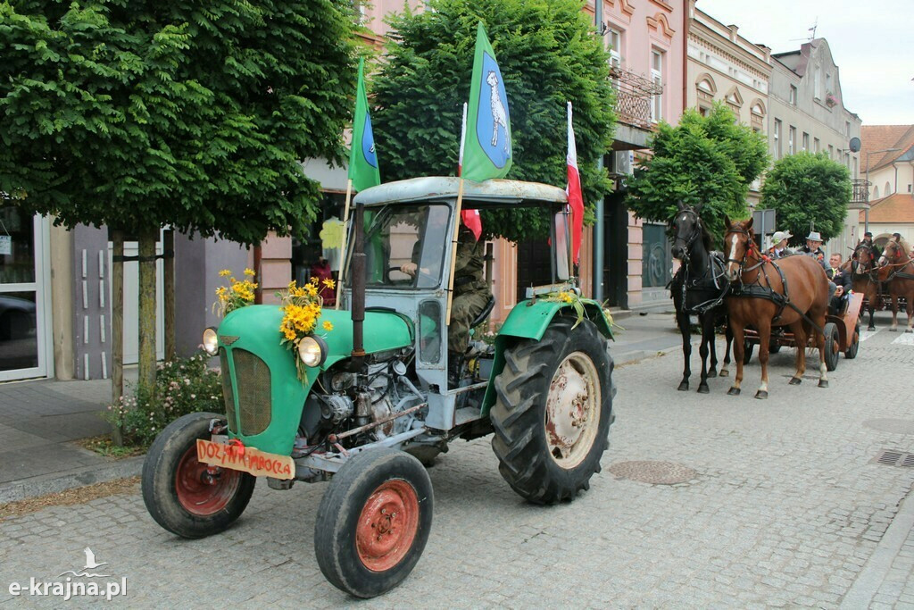 Dożynki Powiatowo-Gminno-Parafialne w Mroczy