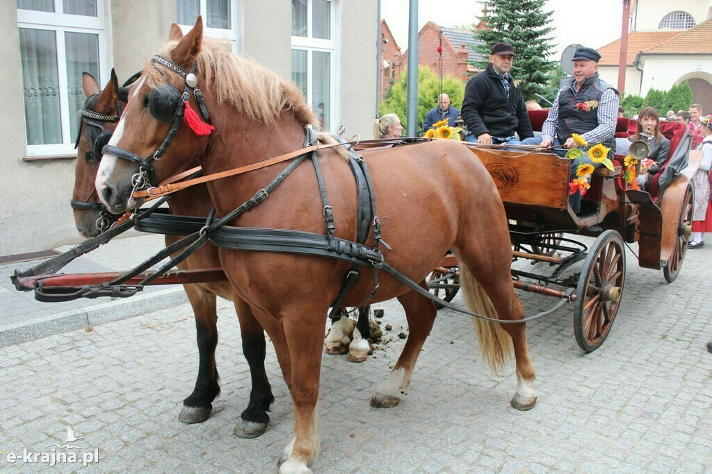 Dożynki Powiatowo-Gminno-Parafialne w Mroczy