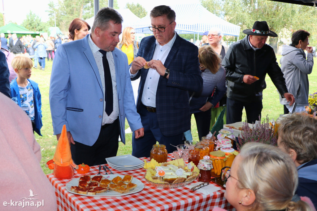 Niezwykle udane Święto Dyni w Dobrzyniewie