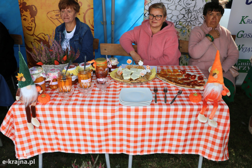 Niezwykle udane Święto Dyni w Dobrzyniewie