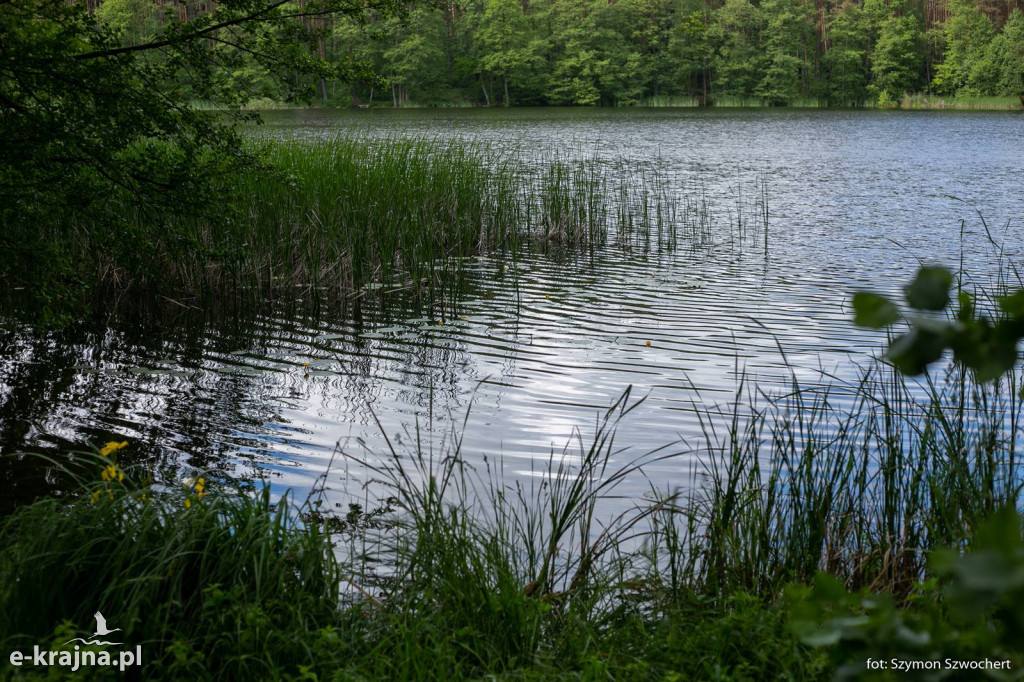 Pierwszy Krajeński Spacer Krajobrazowy