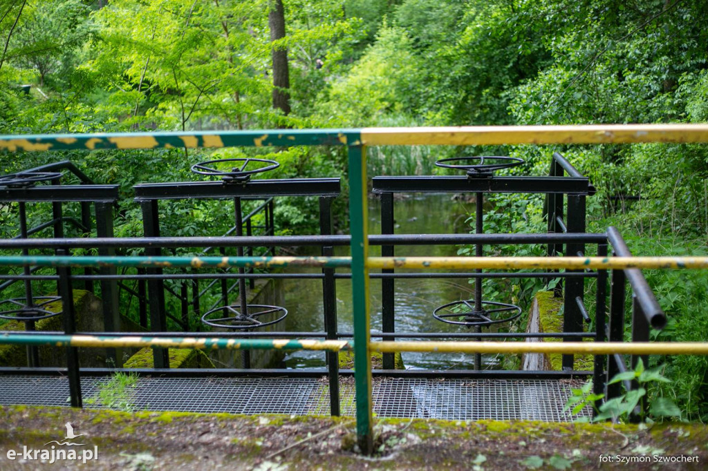 Pierwszy Krajeński Spacer Krajobrazowy