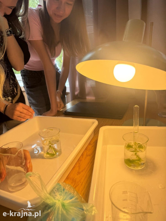 Konferencja poświęcona środowisku i zmniejszeniu śladu węglowego w ramach europejskiego projektu Erasmus + pt : Digital Steps of being Carbon Neutral w Liceum Ogólnokształcącym w Sępólnie Krajeńskim