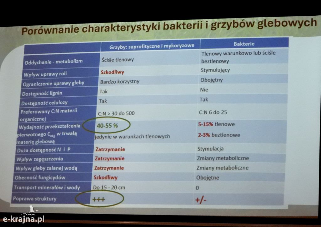 Konferencja Rolnictwa Ekologicznego w Lubiewie k/Tucholi