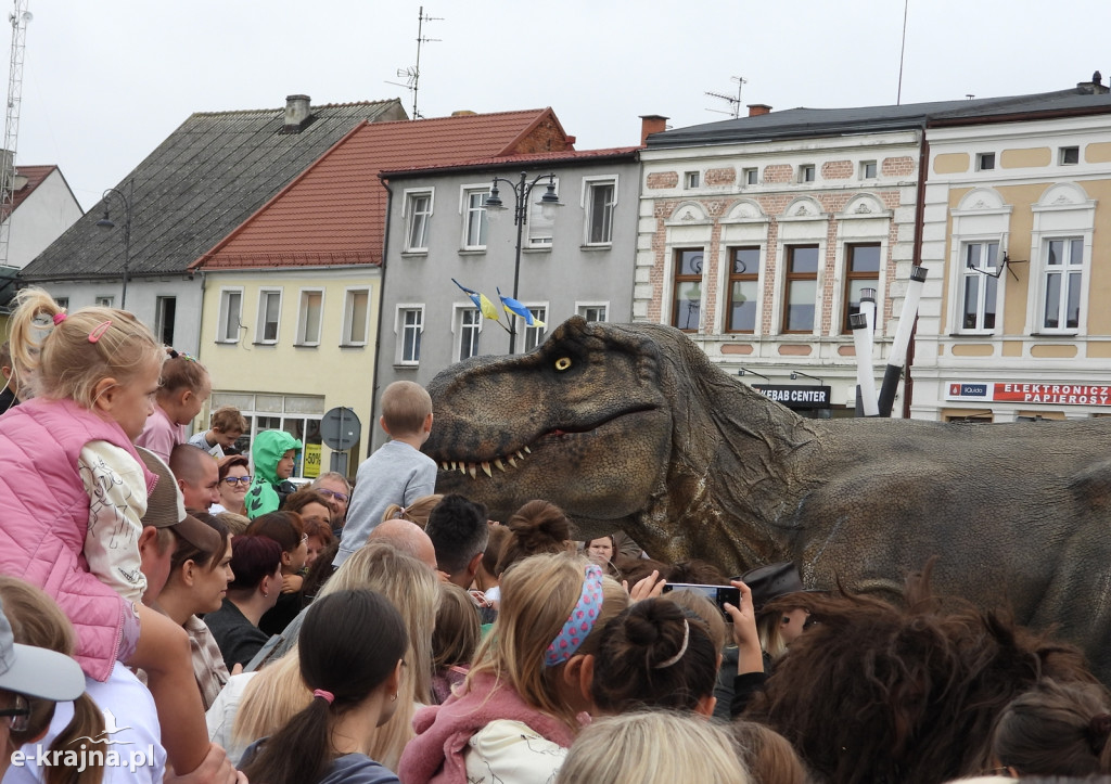 Sensacyjne znalezisko w Sępólnie Krajeńskim