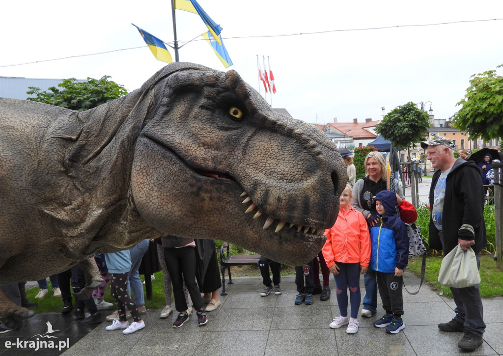 Sensacyjne znalezisko w Sępólnie Krajeńskim